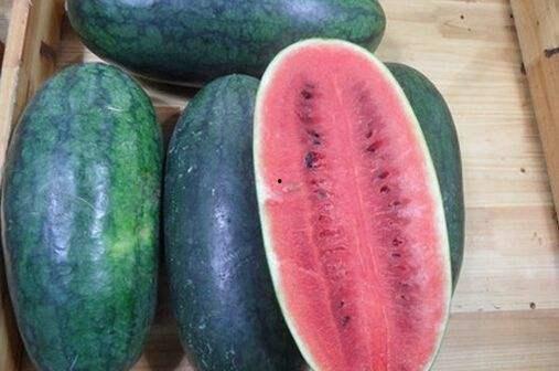 网红黑料反差吃瓜群