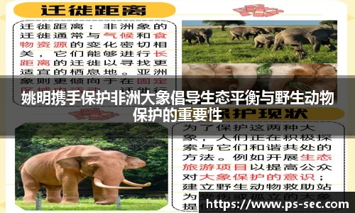 姚明携手保护非洲大象倡导生态平衡与野生动物保护的重要性