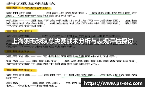 上海羽毛球队总决赛战术分析与表现评估探讨