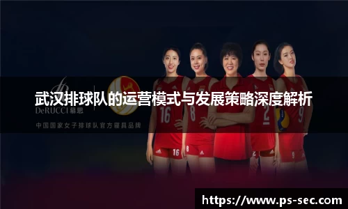武汉排球队的运营模式与发展策略深度解析